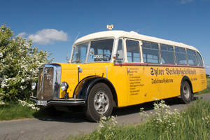 Gelber Oldtimer Bus Sylt